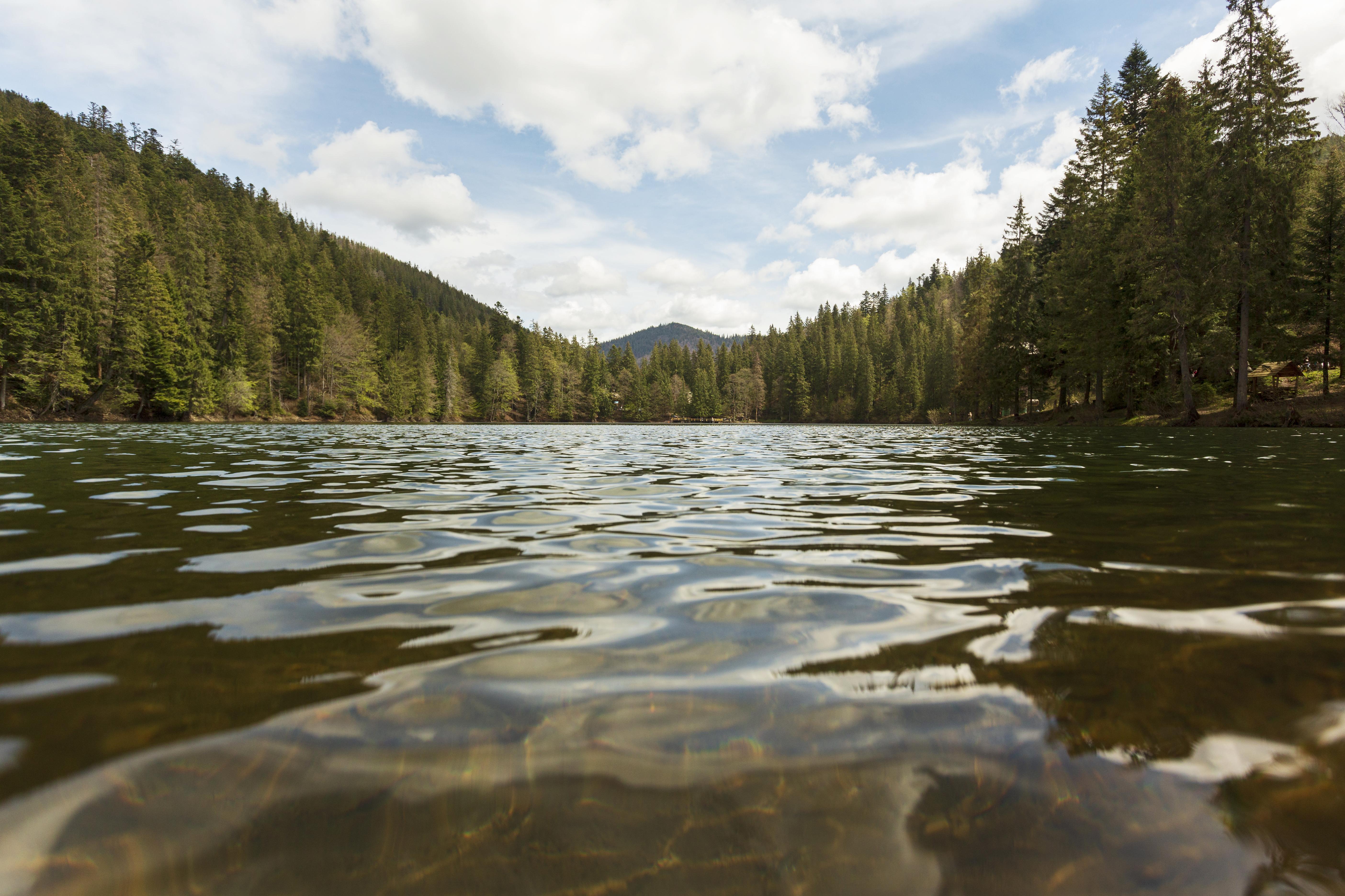 River landscape
